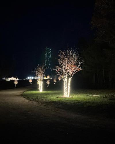 Christmas-Light-installation-Dinwiddie